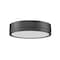 Z-Lite Algar Flush Mount, 1-Light, 12 In.W x 3 In.H, Matte Black/Frosted 1006F12-MB-LED - alternate 2